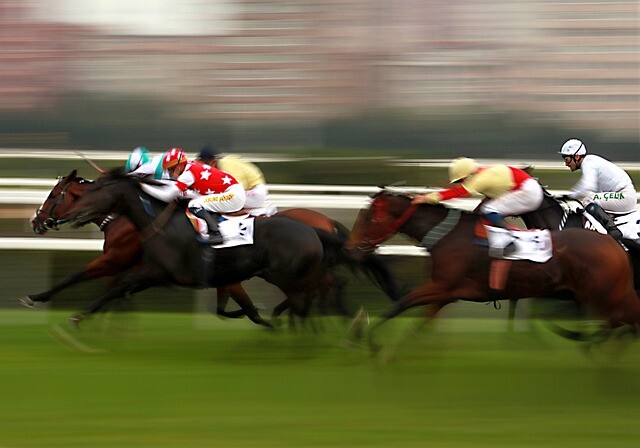 Equestrian Sports Events