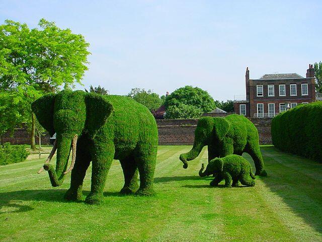Chelsea Flower Show