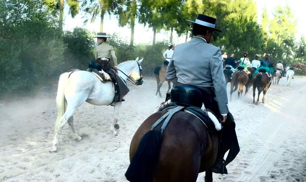 Traditional Events in Europe - Romerรญa del Rocรญo