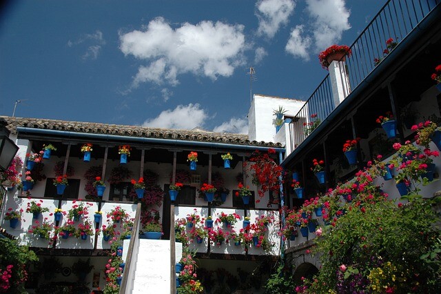 Fiesta de Los Patios de Córdoba