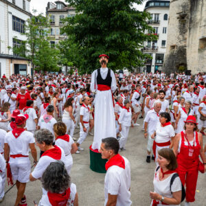Fêtes de Bayonne - Karrikaldi place Jacques-Portes © Mathieu Prat